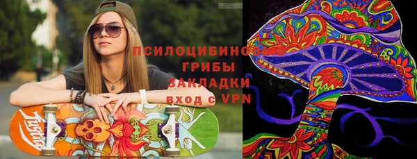 круглые Инсар
