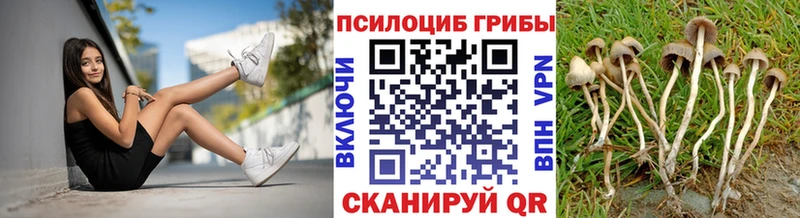 Псилоцибиновые грибы GOLDEN TEACHER  Купить  Бирск 